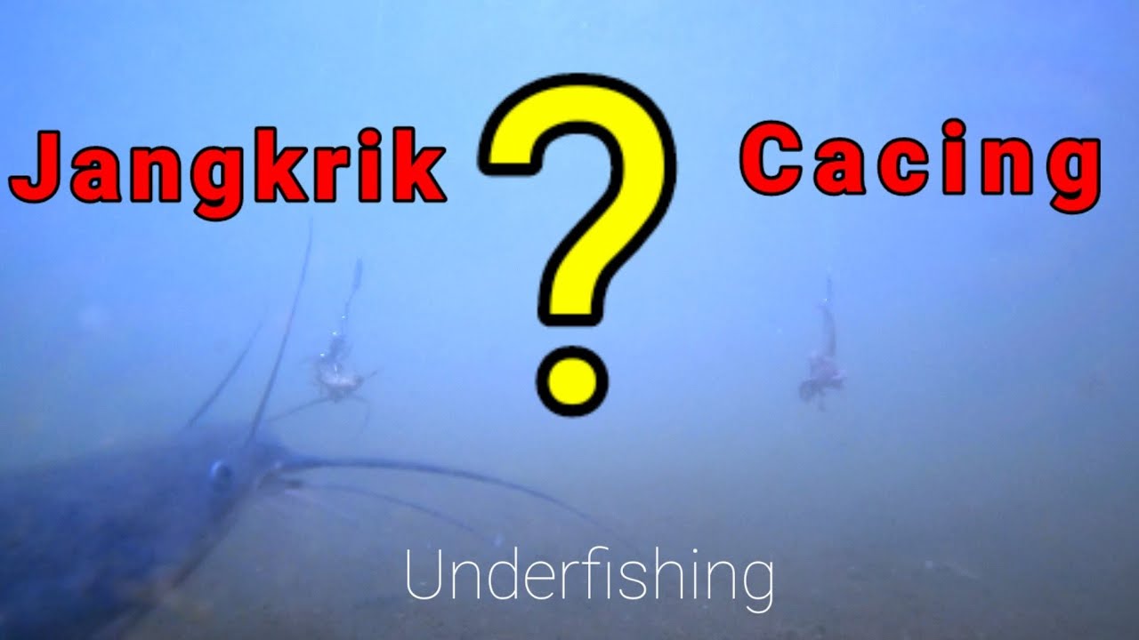 Tes Umpan Jangkrik Vs Cacing || Underfishing