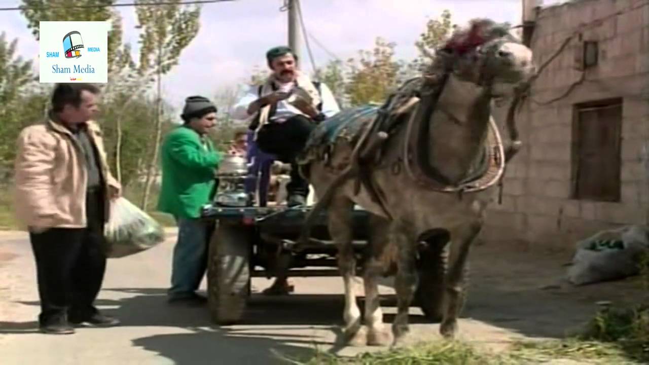 مسلسل عش المجانين ـ الحلقة 15 الخامسة عشر كاملة HD