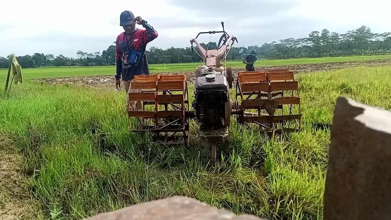 PAGI HARI MENGHIDUPKAN MESIN KUBOTA@lutfilutfi4861 #kubota rd 85 #quick g1000