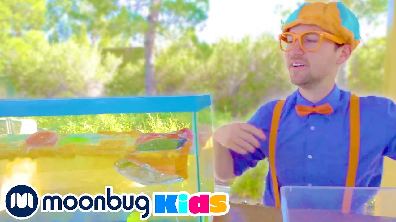 BLIPPI em Português | Afunda ou Flutua?! | Vídeos Educativos | Vídeos para Crianças