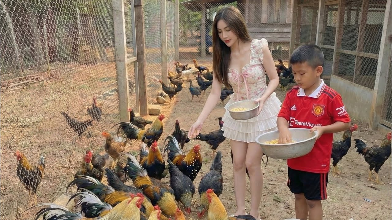 อัปเดตไก่หนุ่มเรื่องหางขาวมุกดาหาร ￼