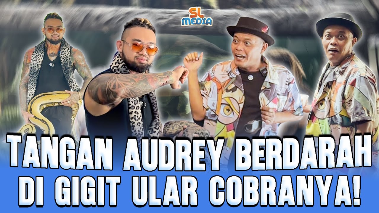 ULAR COBRA NYA  AUDREY NGERI-NGERI