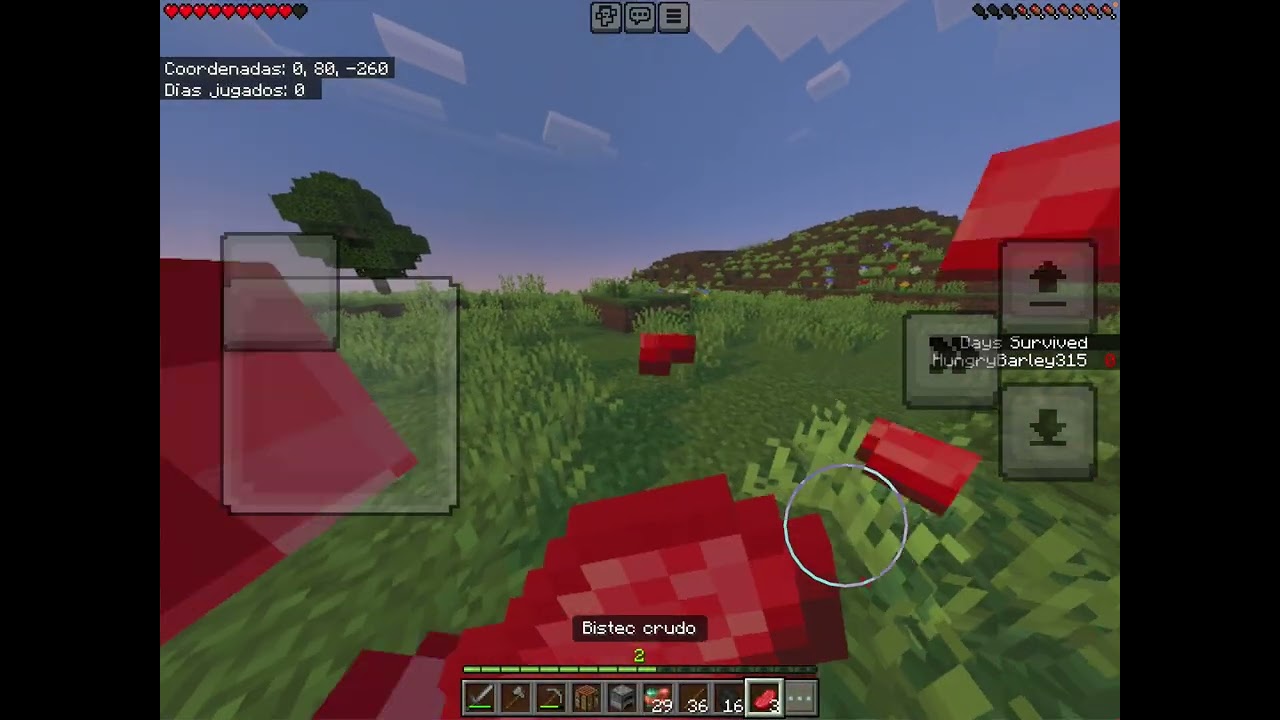 100 días de Minecraft bedrock 