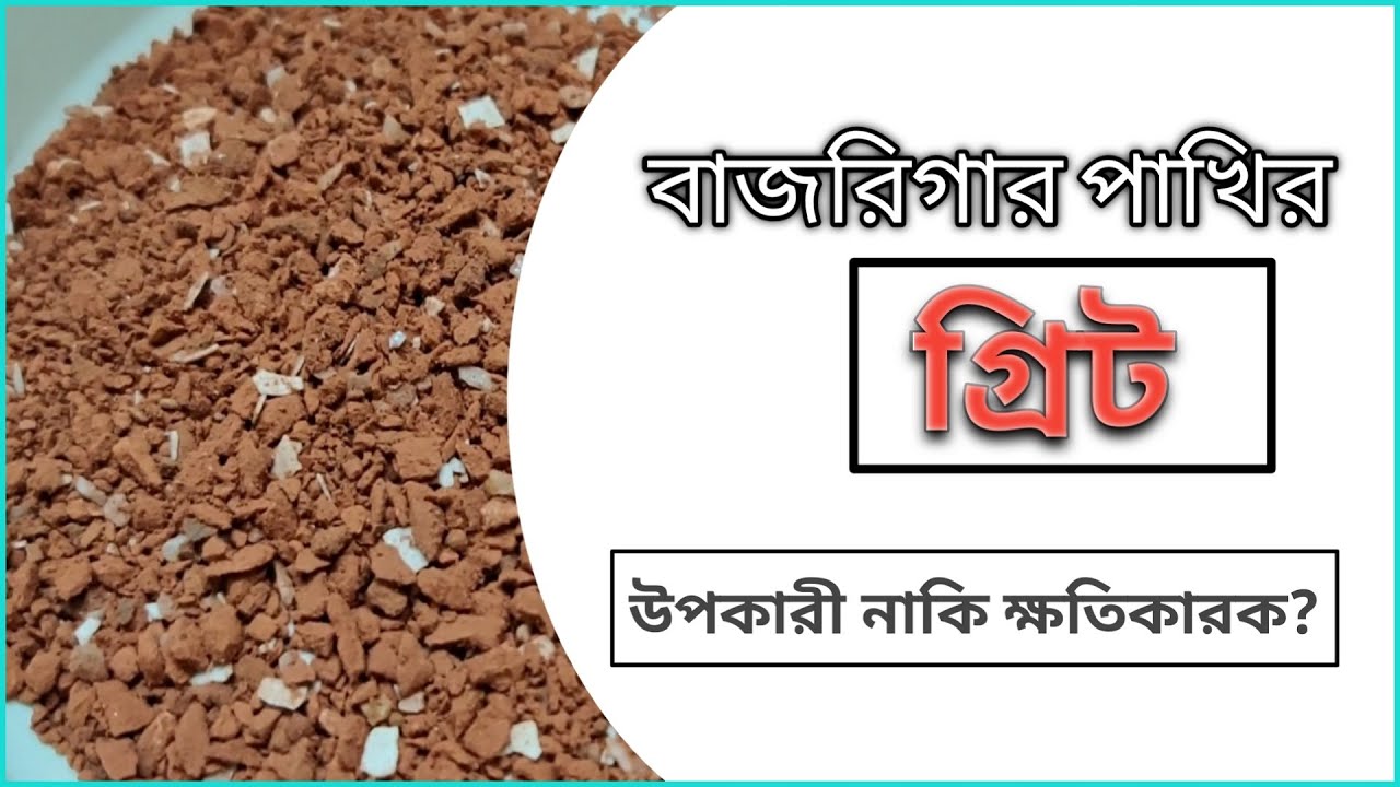 বাজরিগার পাখির জন্য গ্রিট