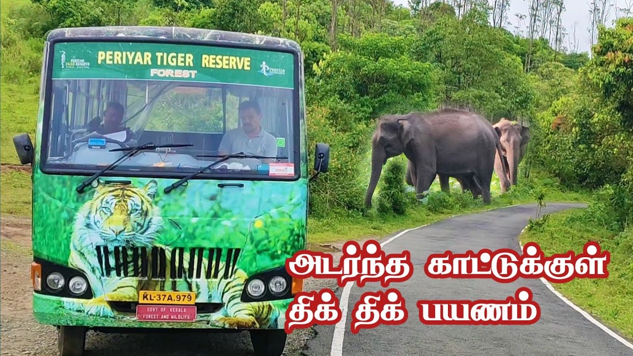 Thrill Gavi Dense Forest Safari in Tamil | Jolly Trip