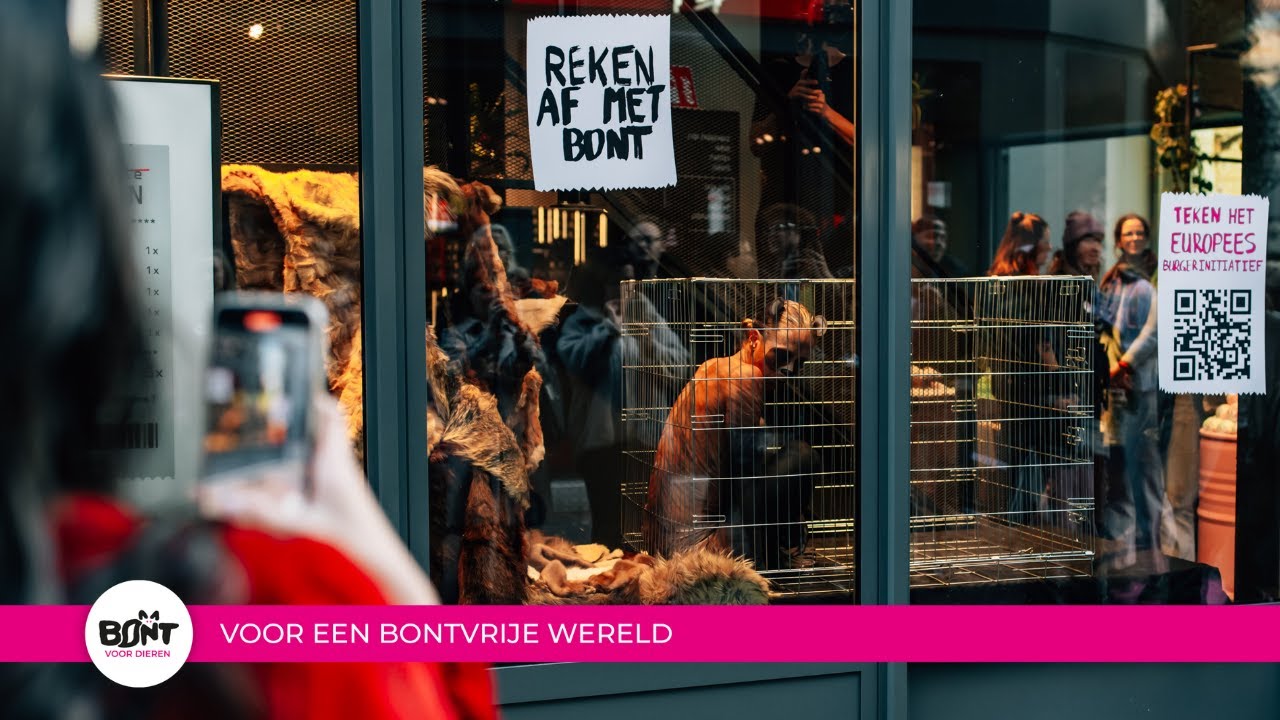 Lush en Bont voor Dieren slaan de pootjes ineen!