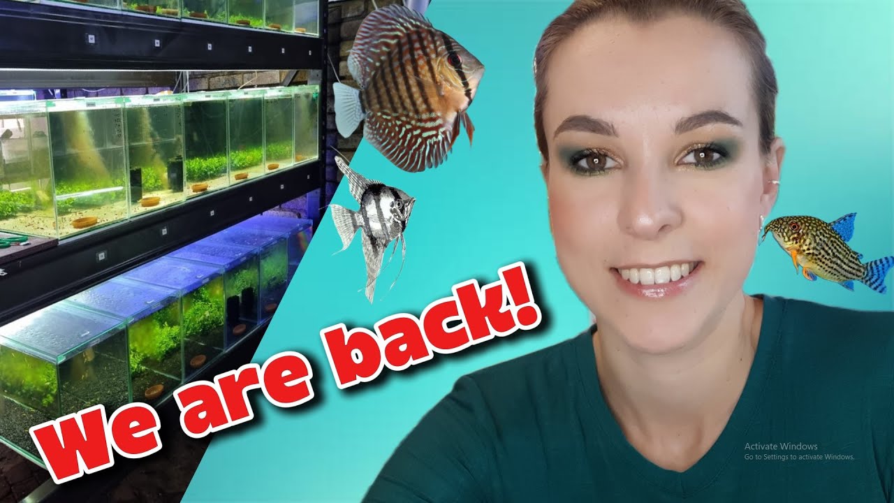 Divana is back! Where I've been I  DIVANA'S AQUARIUMS
