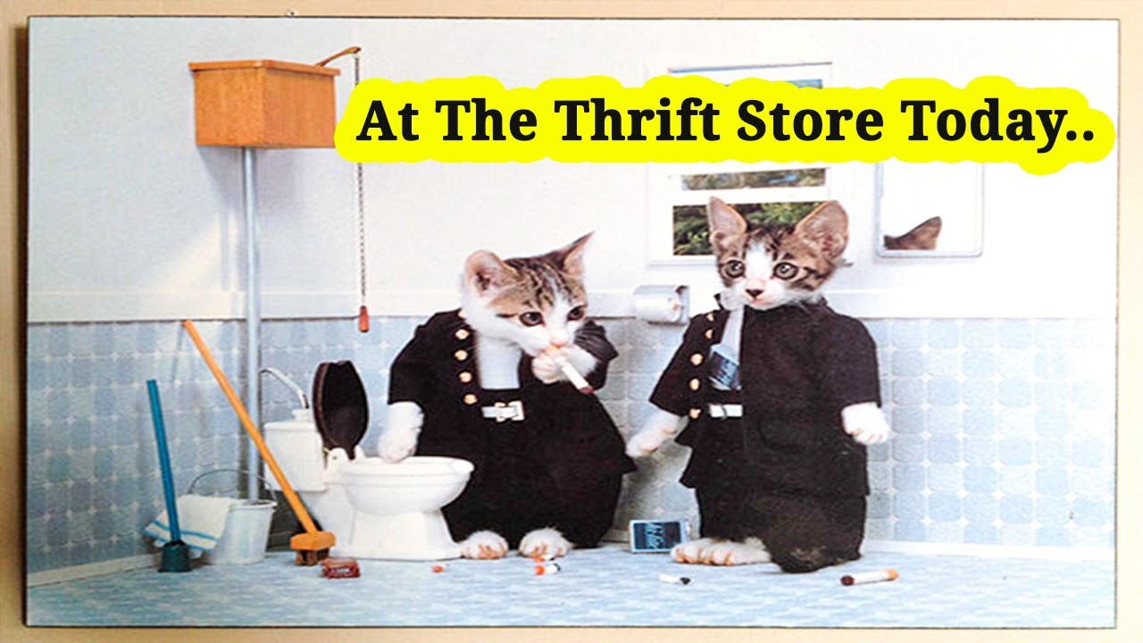 People Who Found The Best Things In Thrift Stores