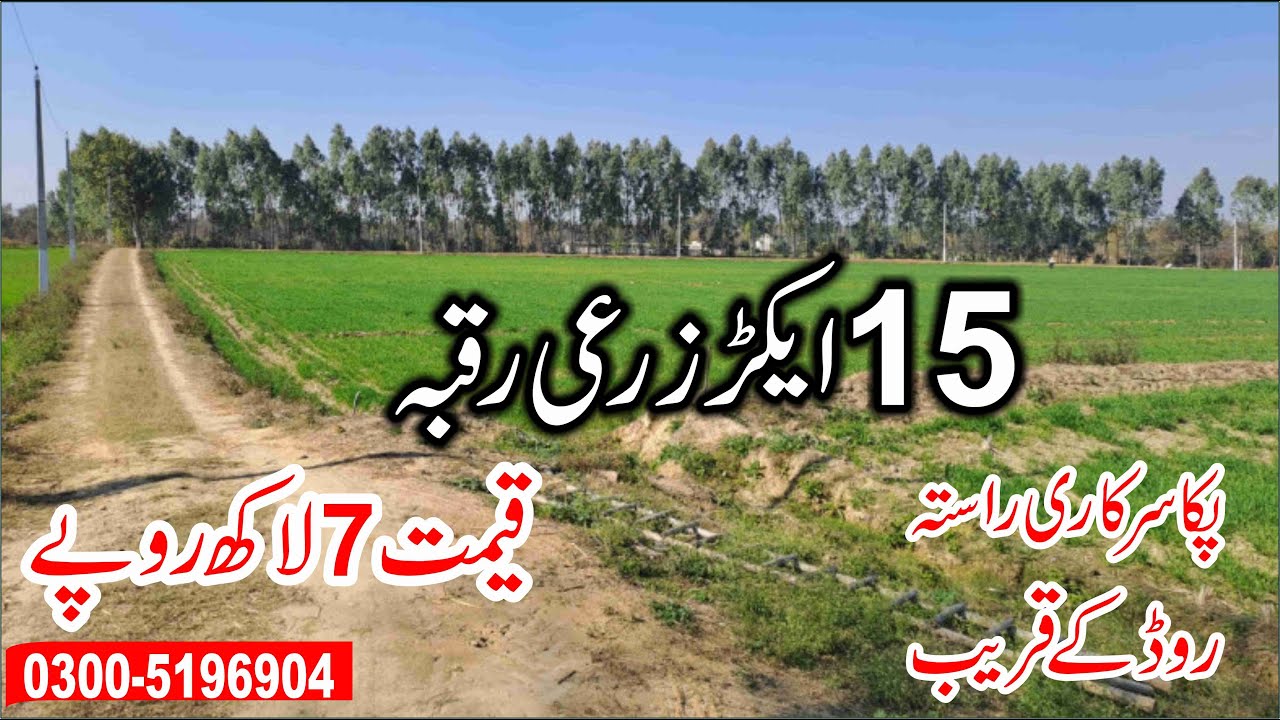 Land For Sale - 15 Acre Agriculture Land For Sale In Punjab Pakistan - Zari Zameen