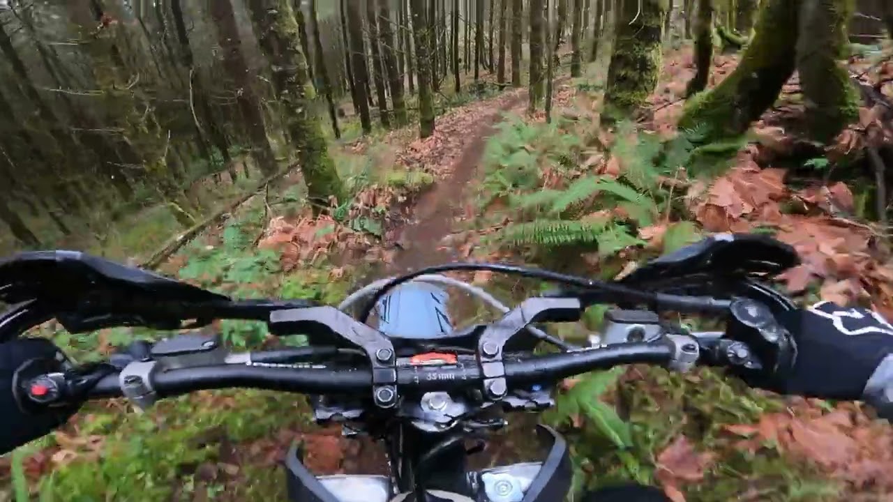 Shovelhead trail. Vedder Mountain. New Years day 2026