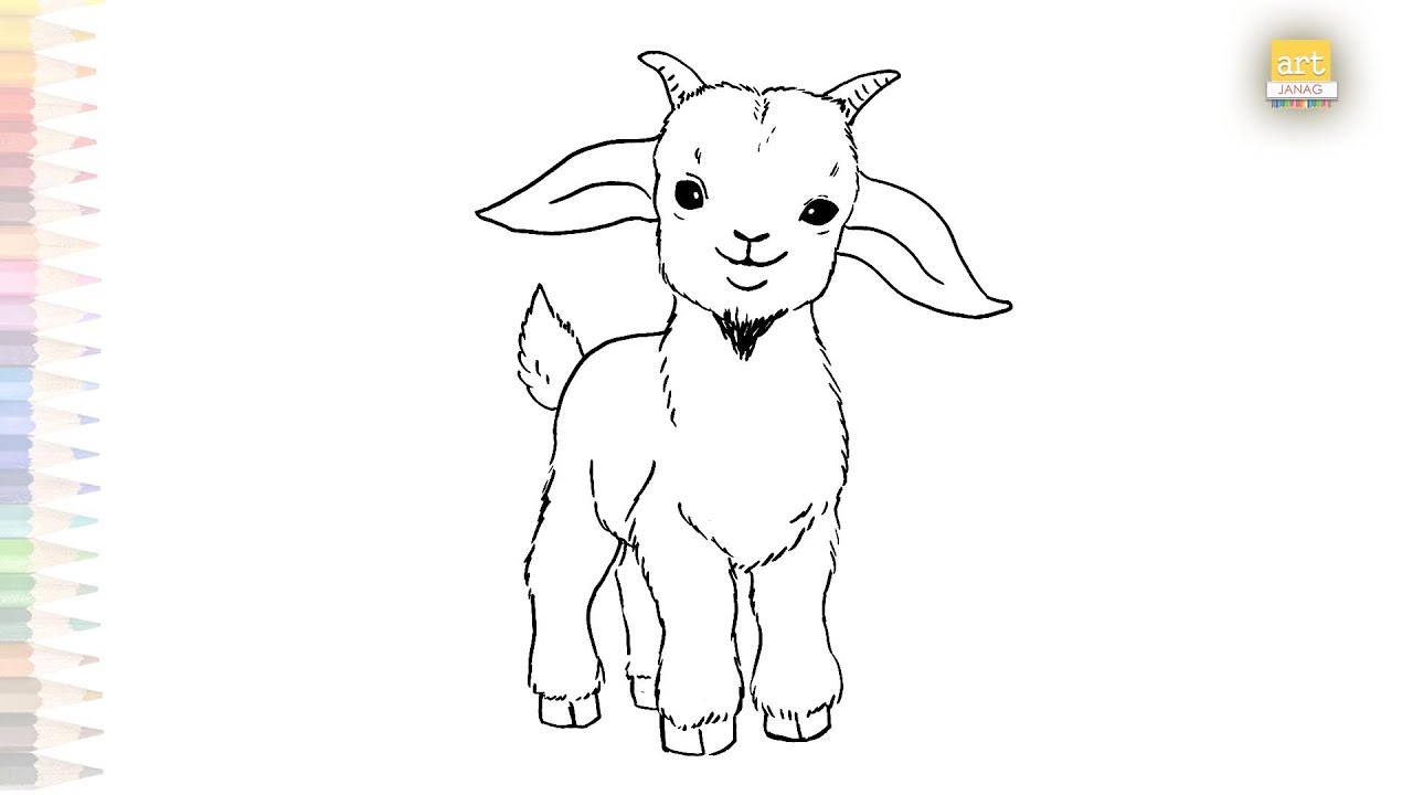 Baby Goat drawings | Animal drawing tutorial | How to draw A Goat step by step | #artjanag