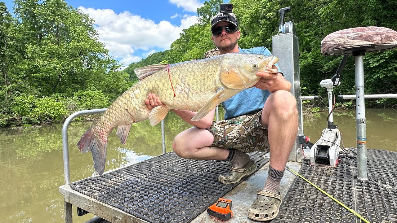 BIG FISH in Shallow Water - Daytime Bowfishing