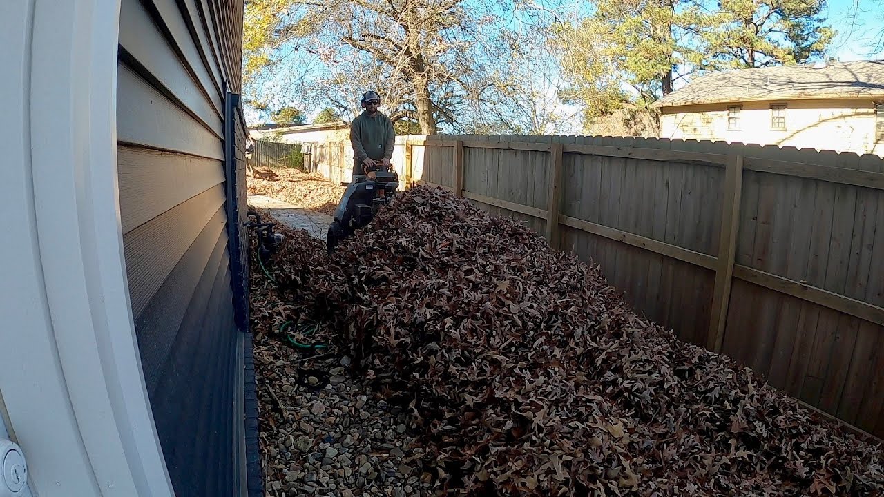 INSANE Amount of LEAVES in BACK YARD