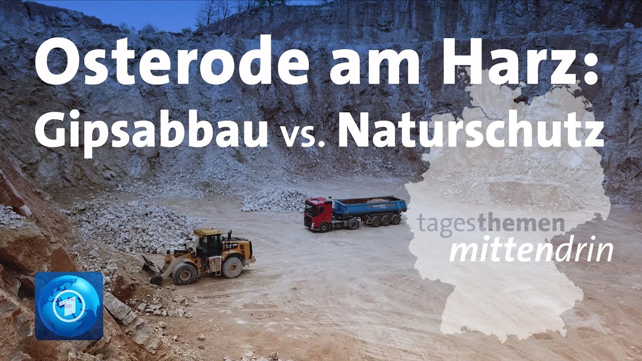Osterode am Harz: Gipsabbau vs. Naturschutz I tagesthemen mittendrin