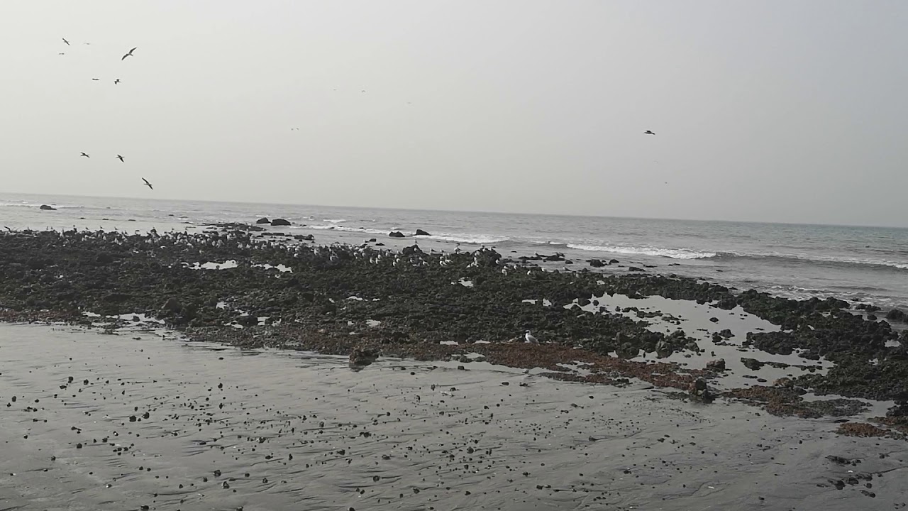 BAKAU BEACH FISHING VILLAGE IN THE GAMBIA
