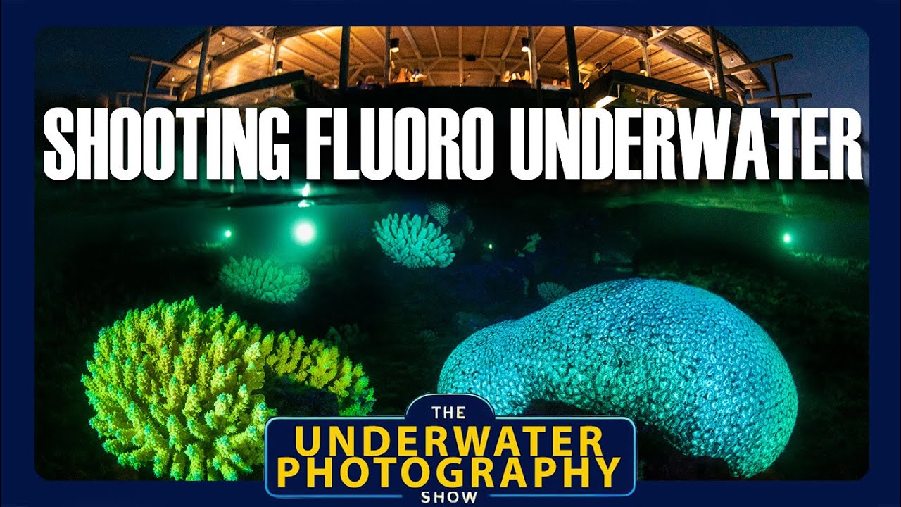 How To Shoot Fluorescence Underwater