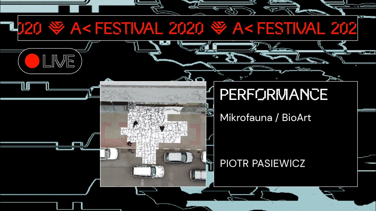 performance: Mikrofauna / BioArt | Piotr Pasiewicz