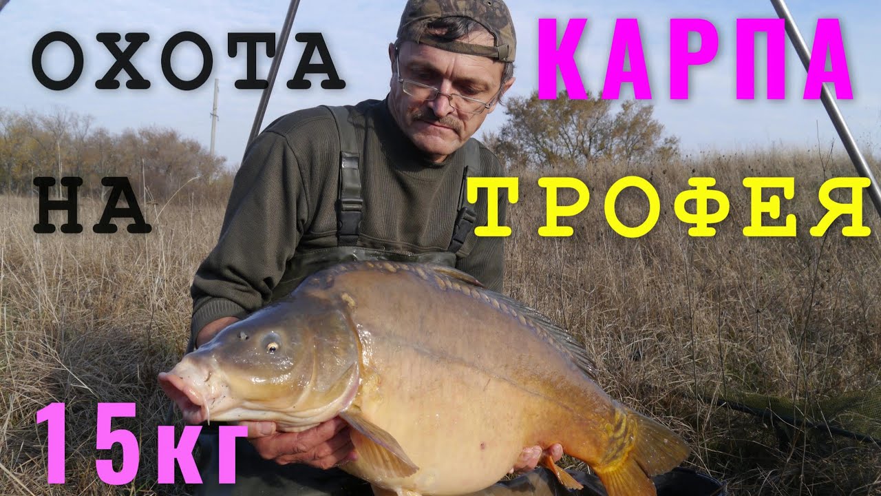 Ловля карпа. Моя рыбалка №6. Ноябрь 2017 г.