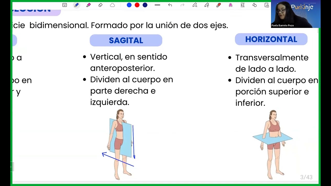 CLASE ANATOMÍA