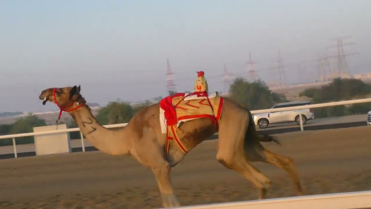 الشوط 4(المحيط) للسيد: راشد علي سالم المري  توقيت 07:34