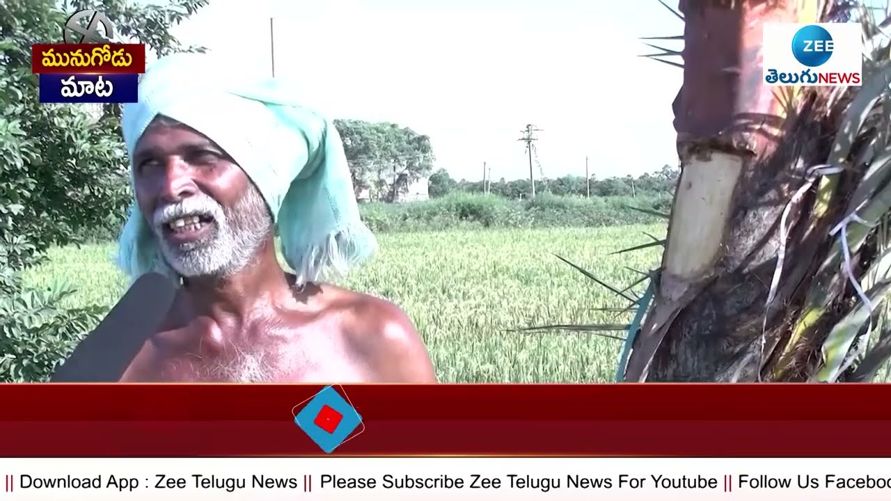 Munugode Public Opinion On By-Election | Munugode Bypoll Public Talk | TRS Vs BJP | ZEE Telugu News