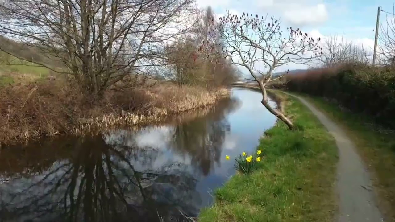 A walk along the Montgomery Canal  part 4