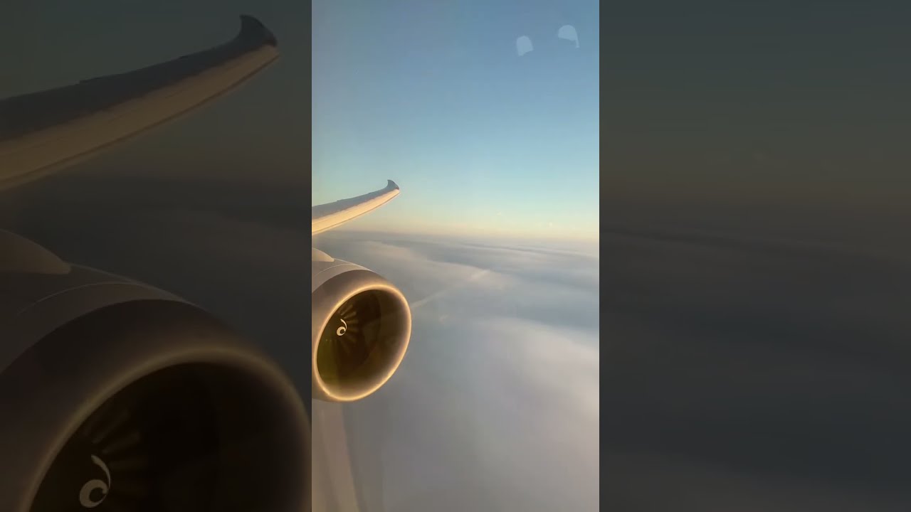 Inflightvideo - Landing at Frankfurt Airport LH543 [B789]