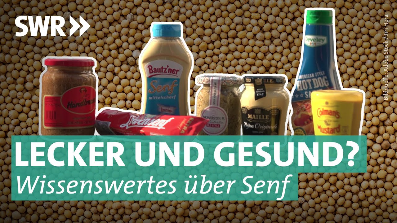 Süß oder scharf, grob oder fein: Was Sie über Senf wissen sollten | Marktcheck SWR