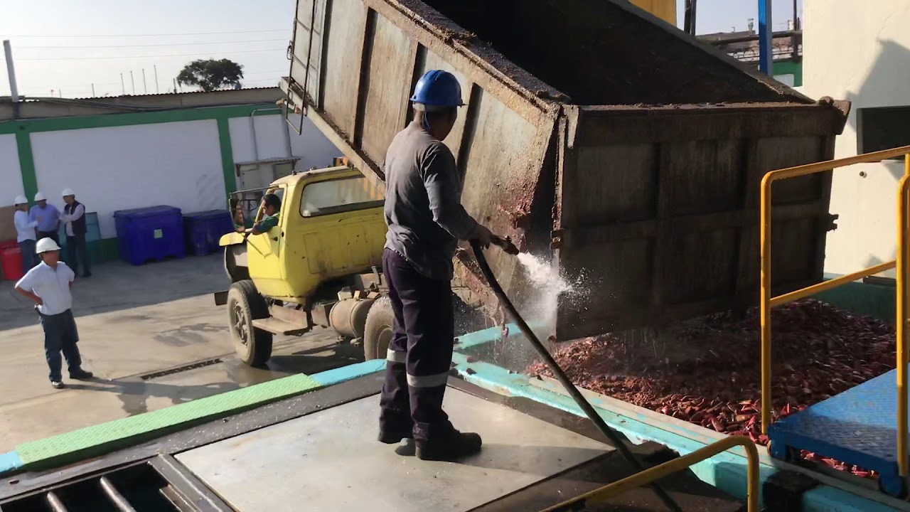 Recepción de Residuos de Pescado para Proceso de Harina
