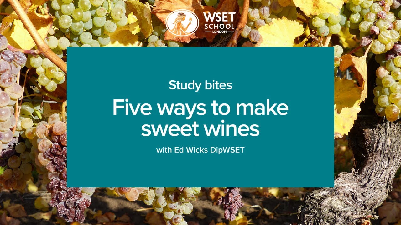 Study bites: five ways to make sweet wines (WSET Level 3 wine)