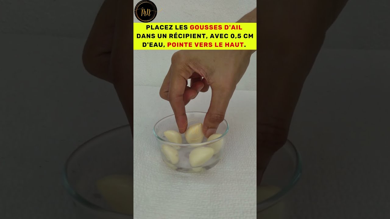 💥 Comment faire germer l'ail  ?💥