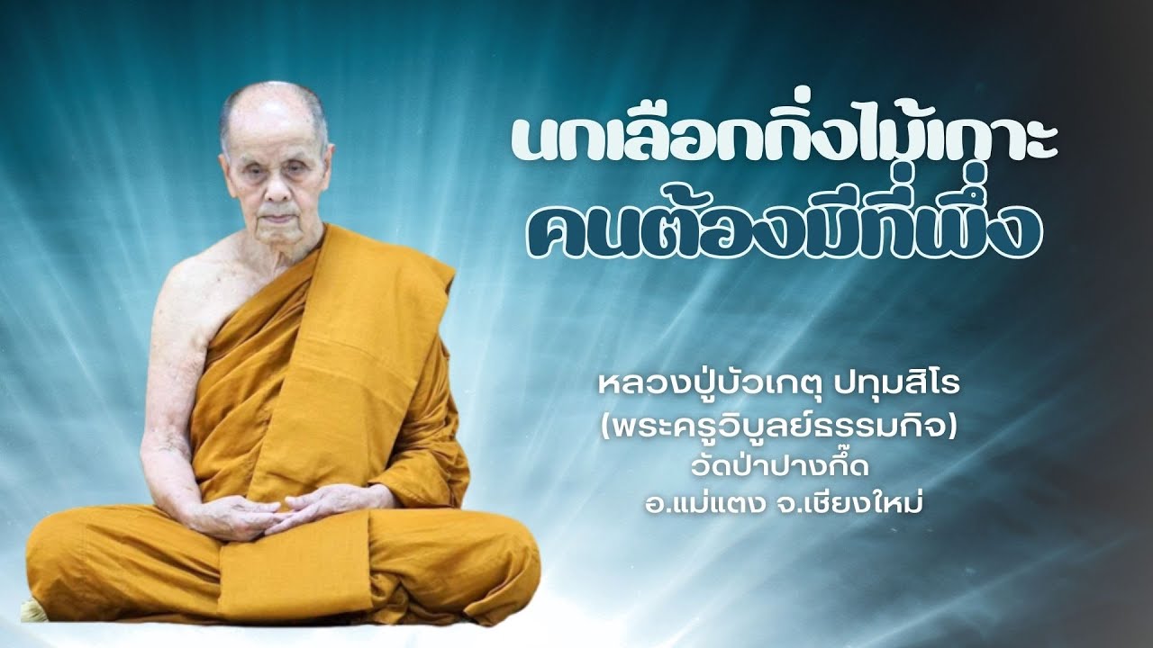นกเลือกกิ่งไม้เกาะ คนต้องมีที่พึ่ง : หลวงปู่บัวเกตุ ปทุมสิโร