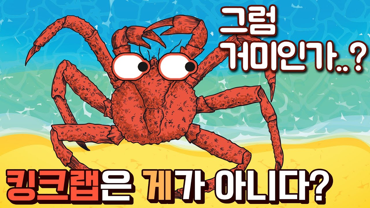 킹크랩은 게가 아니다?