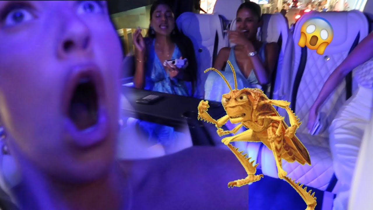 We got attacked by a monster in Santorini 