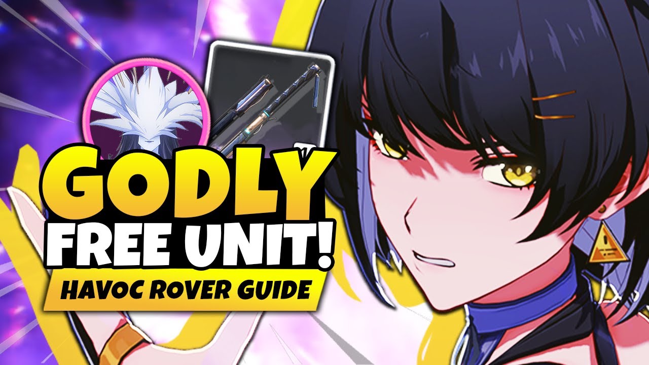 ROVER IS BROKEN! Full Havoc Rover Guide & Build [Best Echoes, Weapons & Teams] - Wuthering Waves