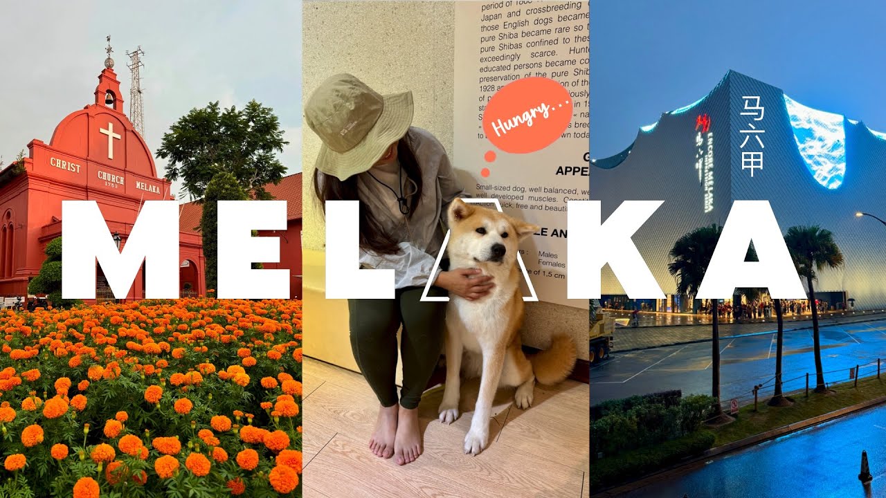 3 дня в Малакке 🇲🇾🌆🐾🍜| Еда без остановки и незабываемое время!