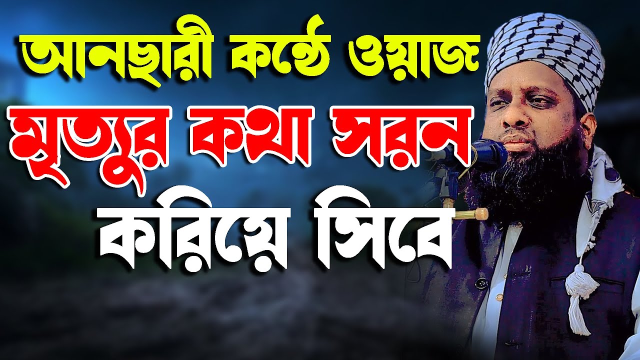 আনছারী যে ওয়াজ মৃত্যুর কথা মনে করিয়ে দেই মুফতি জাফর আহমদ হেলালী Jafor ahmod helali