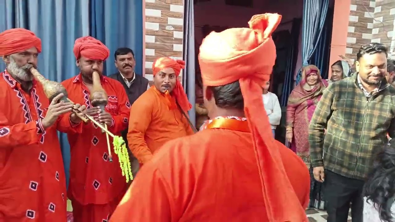 सुनील सपेरा नागिन बीनपार्टी 9456 452312