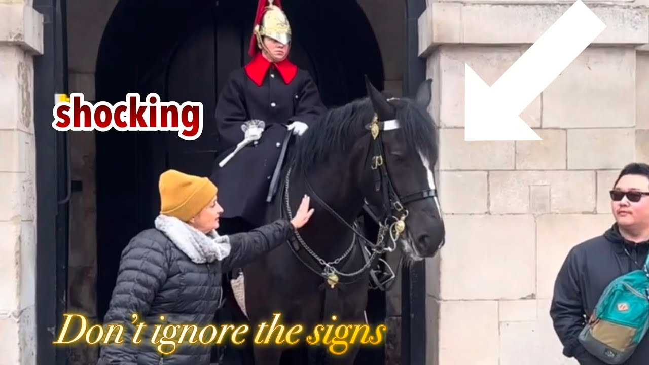 DISRESPECTFUL TOURISTS REFUSE TO RELEASE ignoring!!!