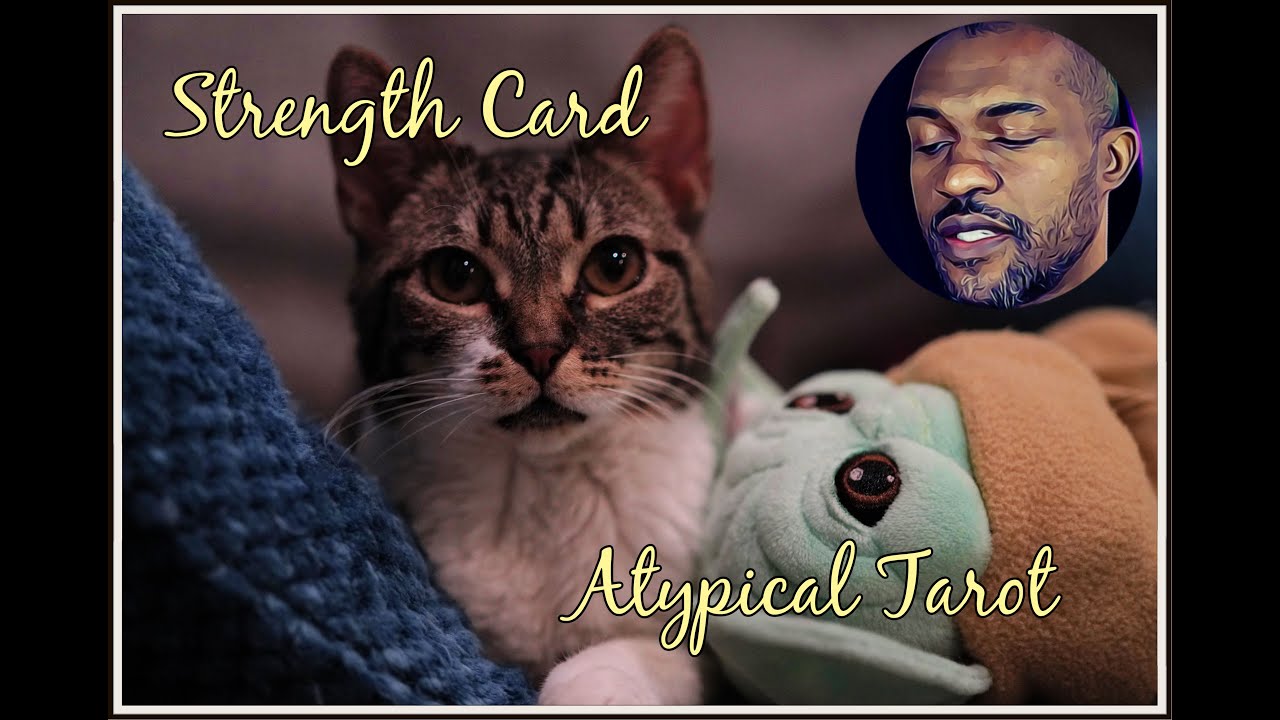 Strength Tarot Card