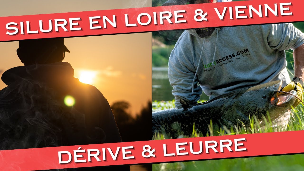 silure en loire et vienne, pêche en dérive et leurre