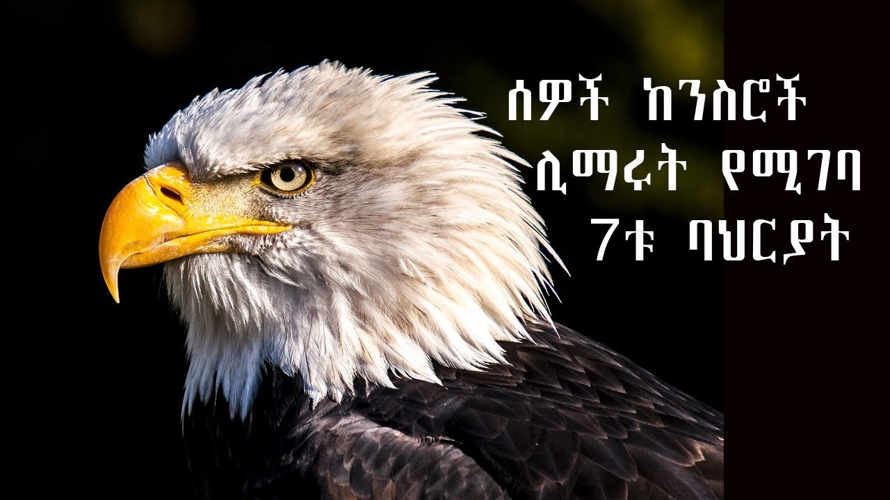 የሰው ልጆች ከንስሮች ልንማራቸው የሚገቡ 7 ባህርያት