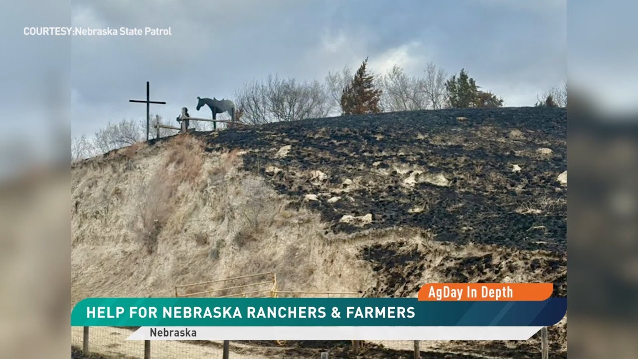 AgDay In Depth: One Rancher Near the Nebraska Fire Zone Talks About the Impact of the Devastating Wi