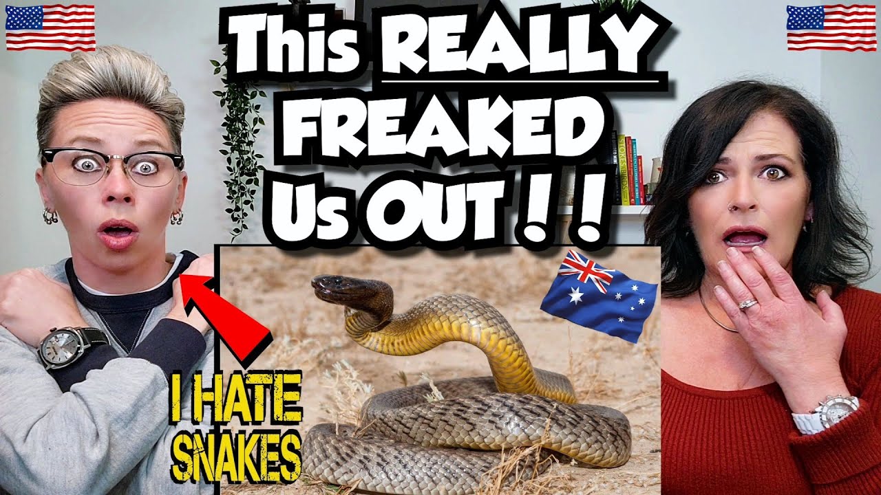 American Couple Reacts: AUSTRALIA'S 10 Most Dangerous Animals! FIRST TIME REACTION! *DON'T MISS THIS