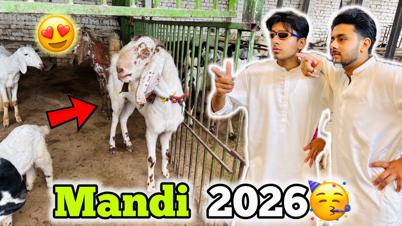 Finally Bakra Mandi 2026 🤩🥳 Humein Bakra Lena hai😍?