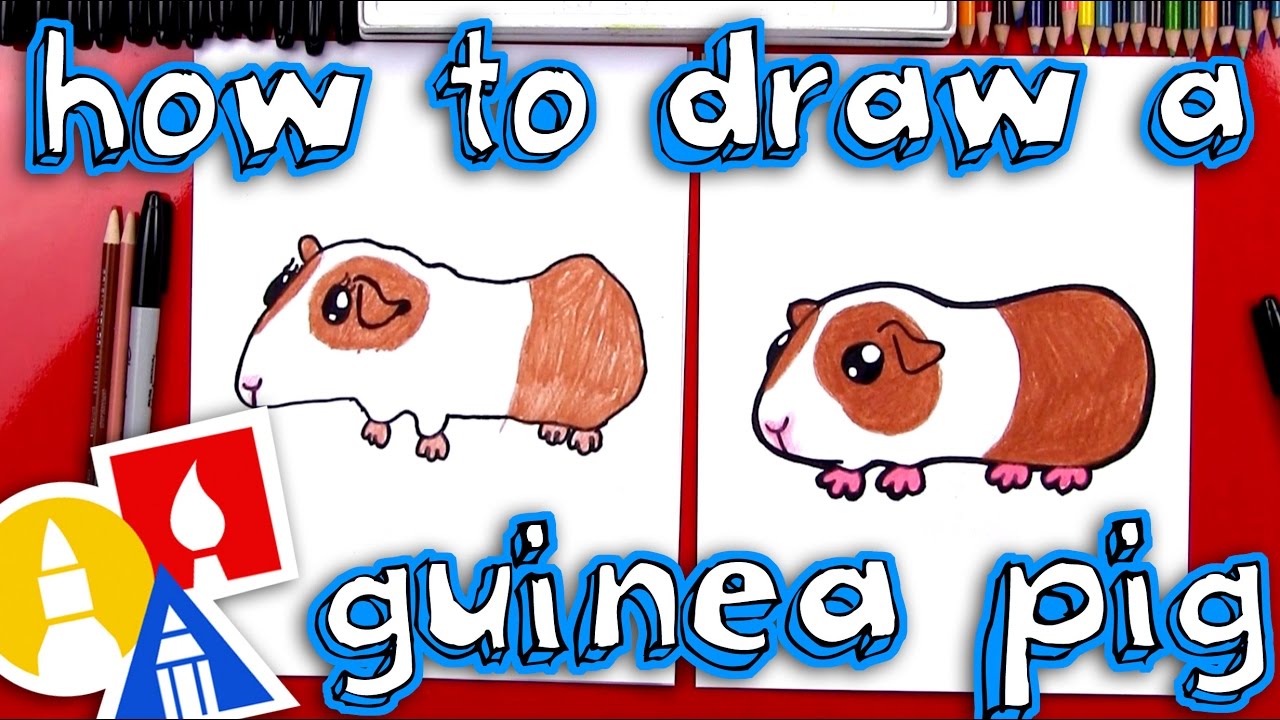 How To Draw A Guinea Pig