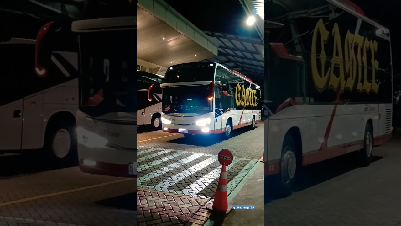 2 UNIT BUS MTRANS TERBARU !!  