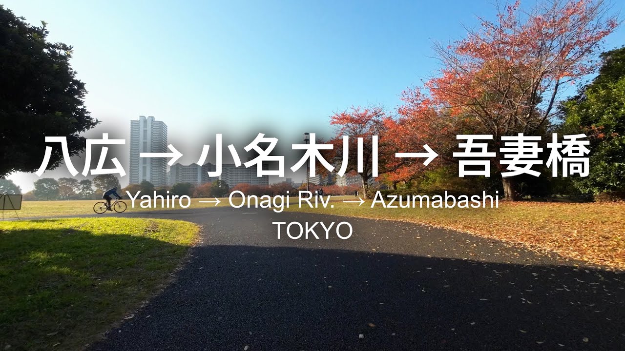 【自転車】大島小松川公園と川めぐり