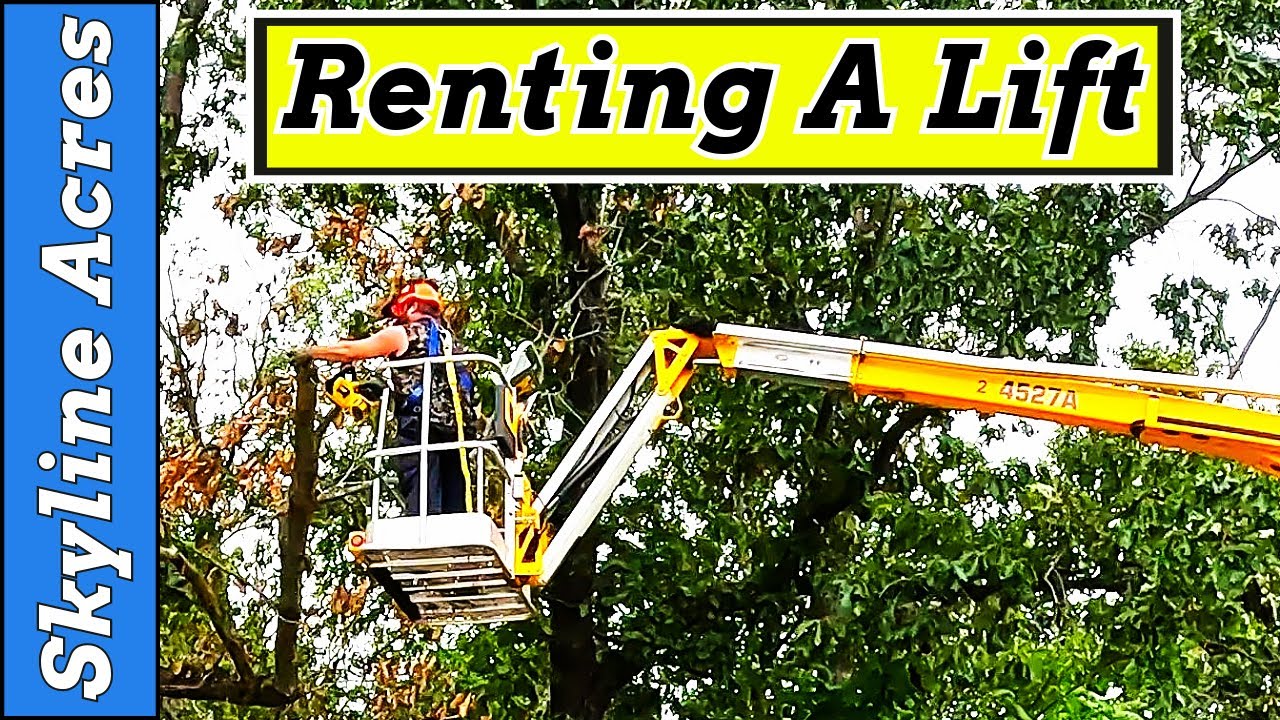 Trimming Trees With A Rented Man Lift | DeWalt Electric Chainsaw