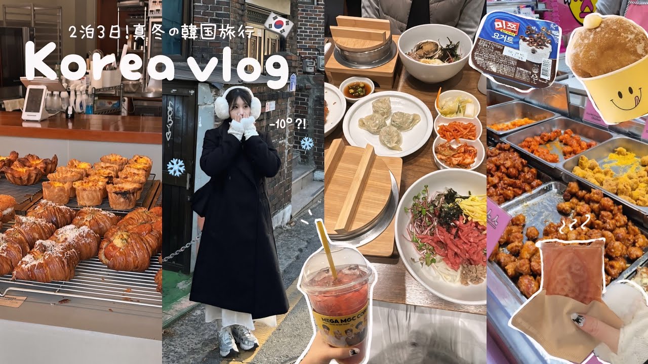 【極寒❄️】弾丸でも大満喫！ほぼ1泊2日の爆食韓国旅行🇰🇷✈️ホンデ,マンウォン市場,梨泰院【韓国vlog｜sub/kor】